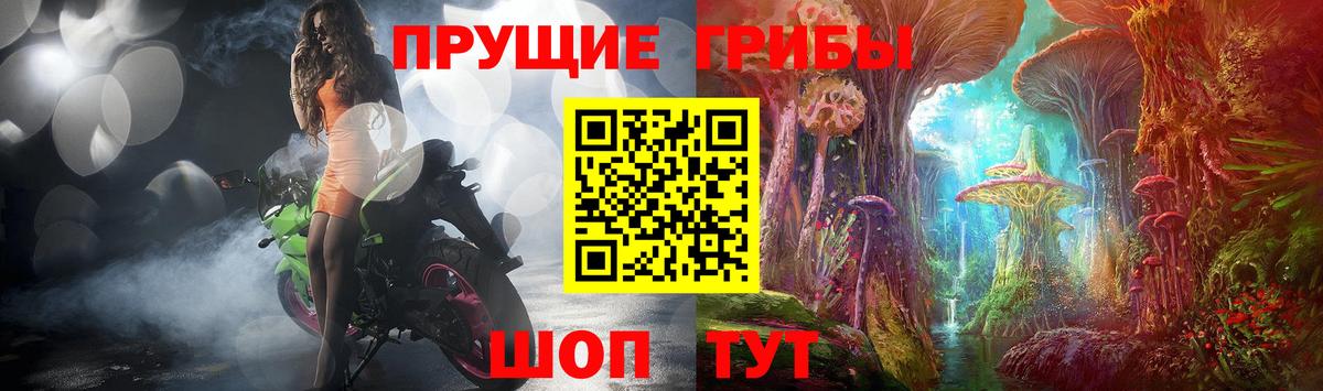 Псилоцибиновые грибы Psilocybe  Вход с VPN  Елец 